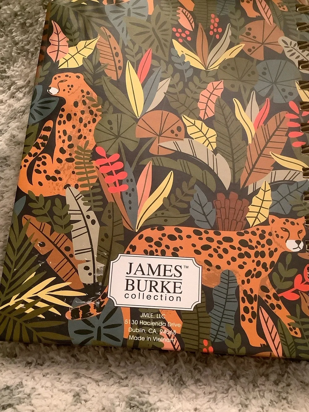 James Burke Collection stylish fun